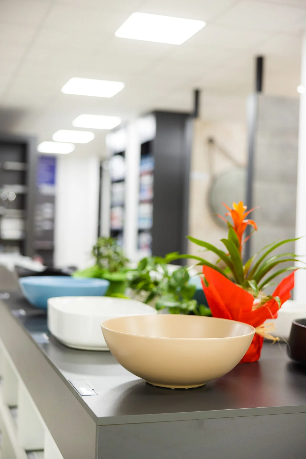 Dom Design salon u Zrenjaninu — enterijer i postavka kupatila, prizor 24